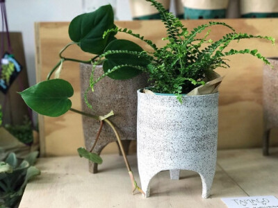 「 Nature Boy Nrth」墨尔本一家植物店。Instagram：O网页链接 ????