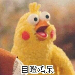鹦鹉兄弟(目瞪鸡呆)
