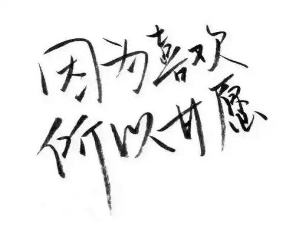 洛六大人.文字句子.手写