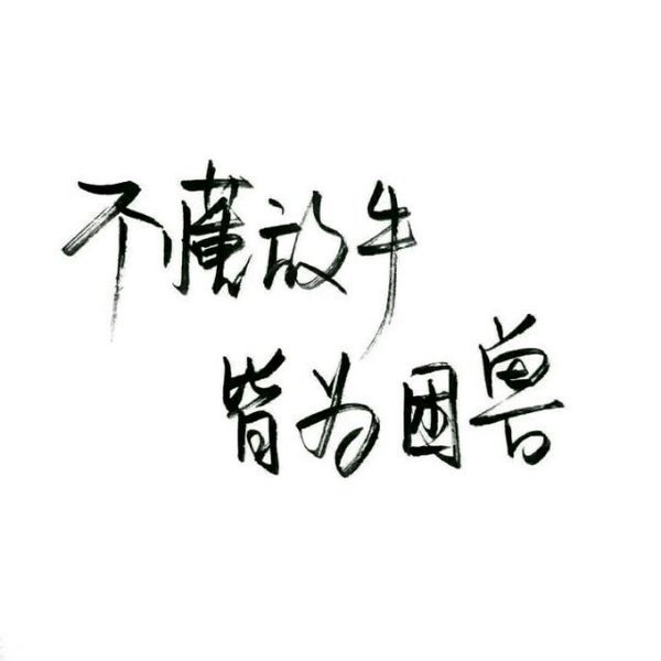 洛六大人.文字句子.手写