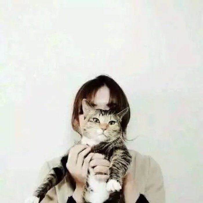 女孩和猫