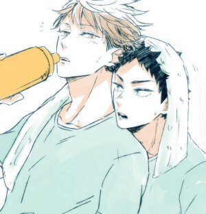 排球少年 十月新番 #动漫 #二次元 #动画  #美少年 #运动 #壁纸 #头像   及岩 岩及 及川彻 岩泉一