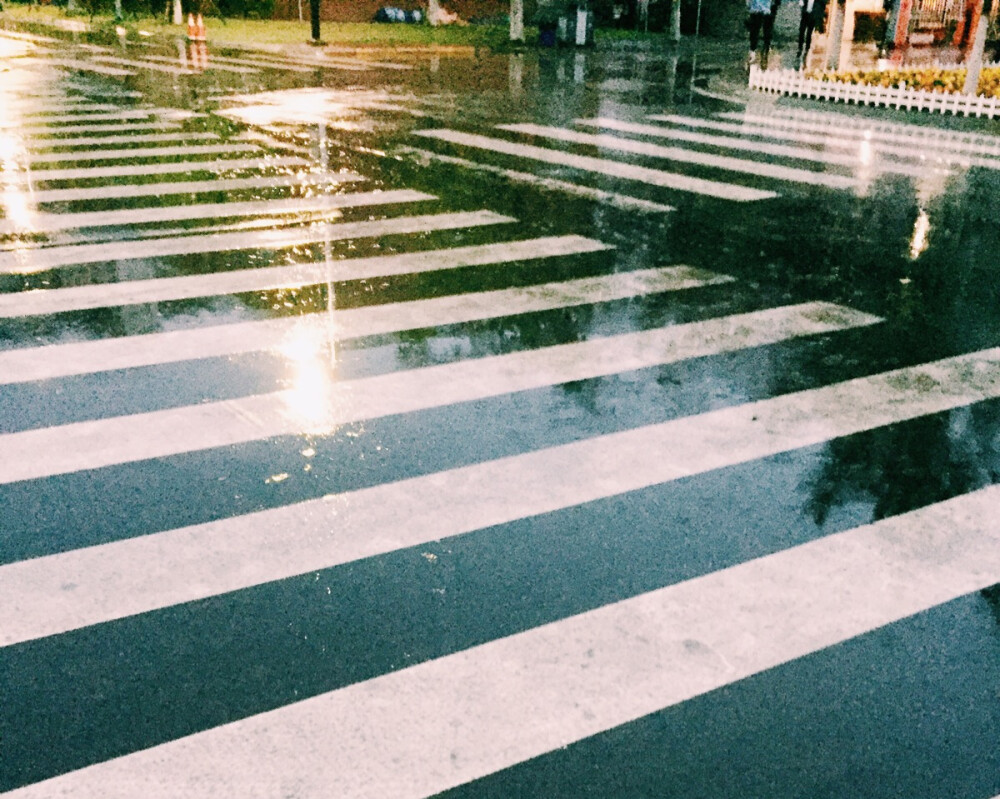 学校下雨夜时的斑马线