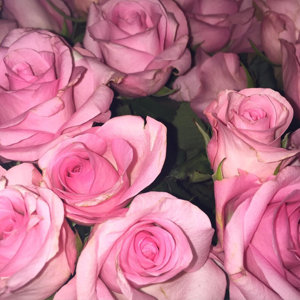 微信背景图_微信封面