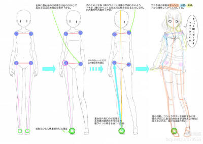 人体动态教程