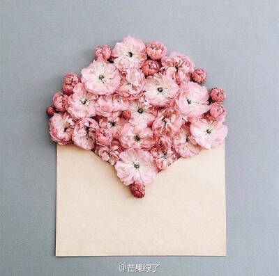 要不要送花给你