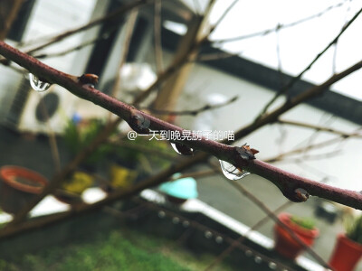 蕭蕭寒雨濕枯荄