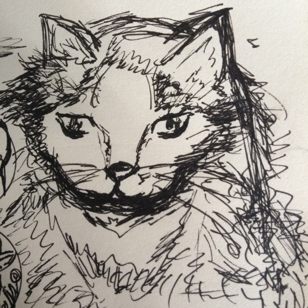 随意画，我家猫猛爪先生。