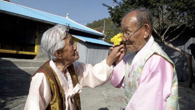 亲爱的，不要跨过那条江