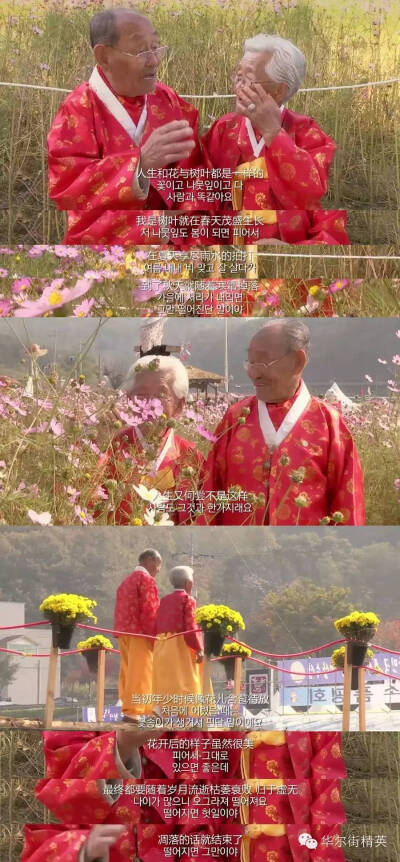 亲爱的，不要跨过那条江