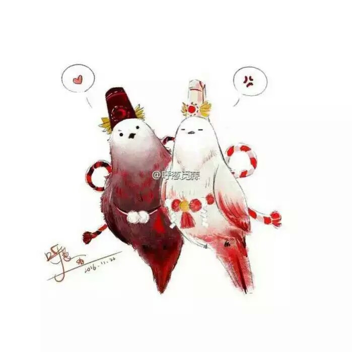 黑白最喜欢这对儿了鸟拟人