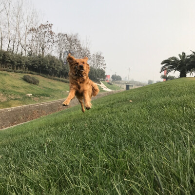 狂奔的小蜗牛 疯狂撒欢