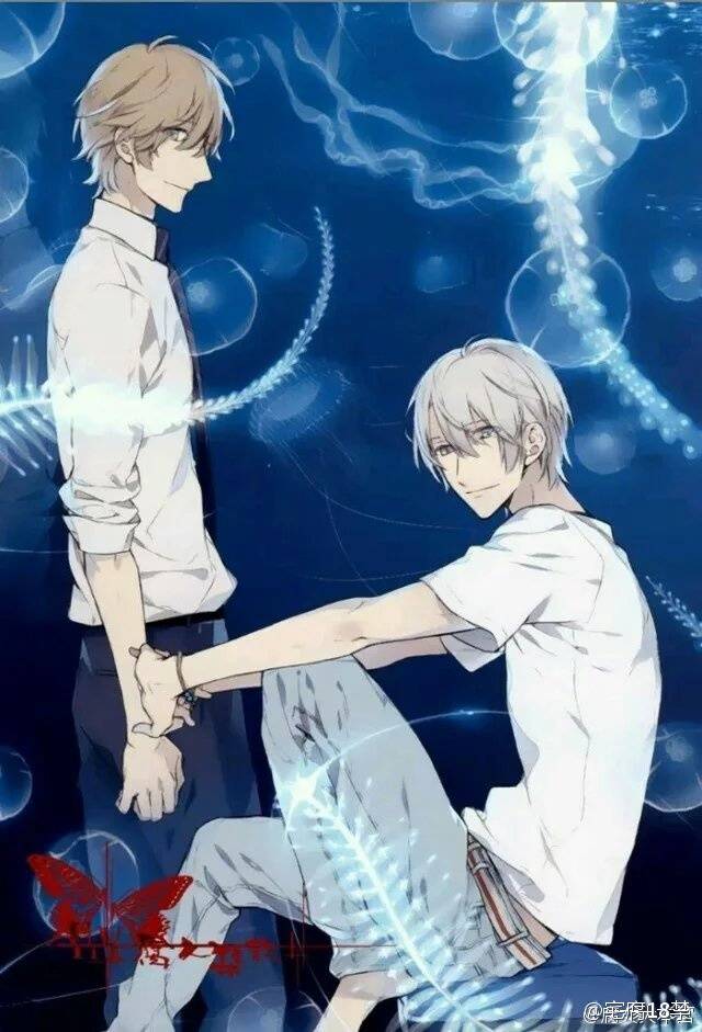 ｡◕‿◕｡宝井理人