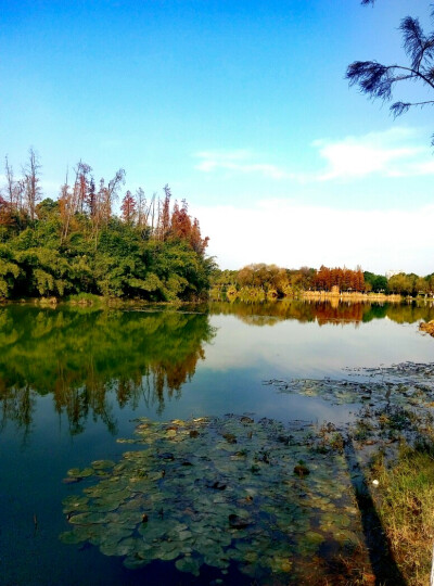 艾溪湖湿地公园