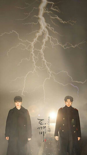 感觉鬼怪中不需要女主