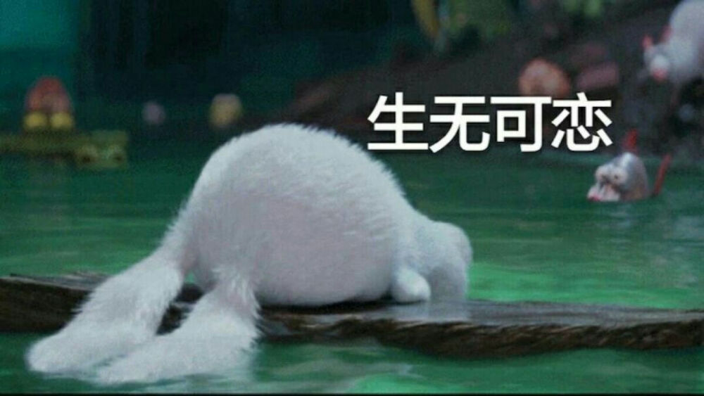 生无可恋