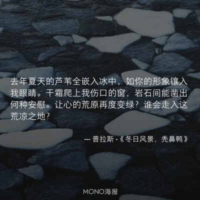 普拉斯