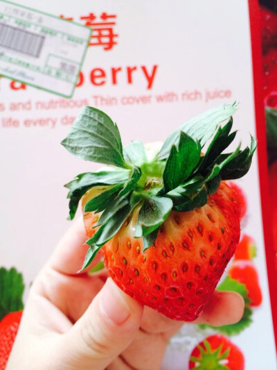 一颗草莓
