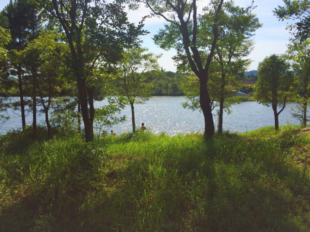 那年夏天