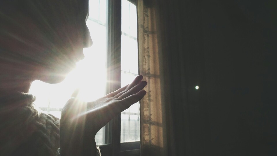 遇见一个太阳般的人