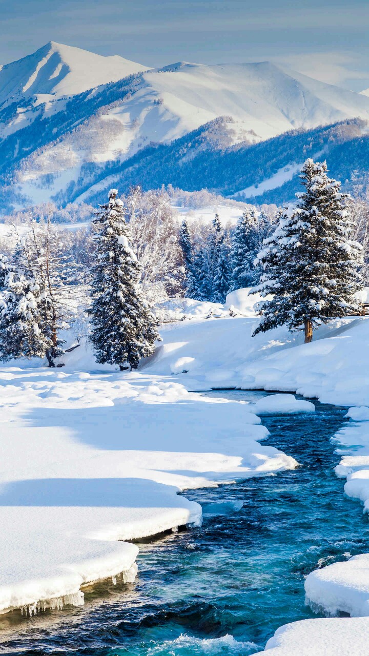 雪景