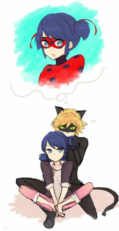 ladybug