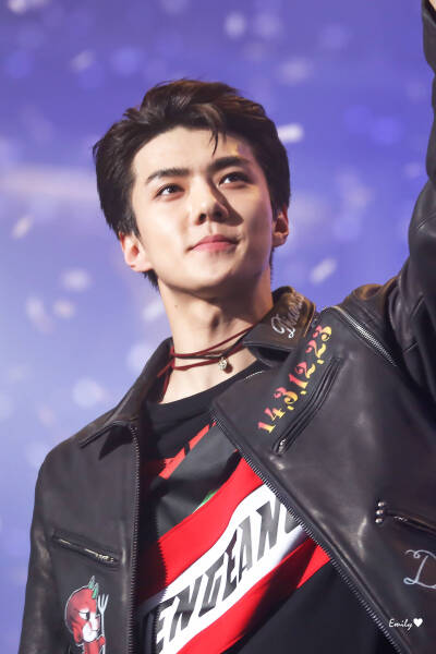 20170119 第26届首尔歌谣大赏 EXO SEHUN 吴世勋 转自微博 cr:logo