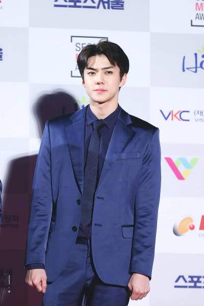 20170119 第26届首尔歌谣大赏 红毯 EXO SEHUN 吴世勋 转自微博 cr:logo