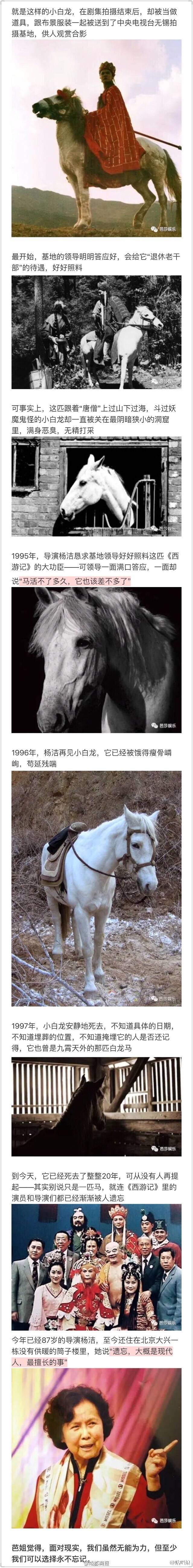 白龙马已死，
孙悟空老去，
大闹天空的英雄们
终于被抛弃在遗忘里