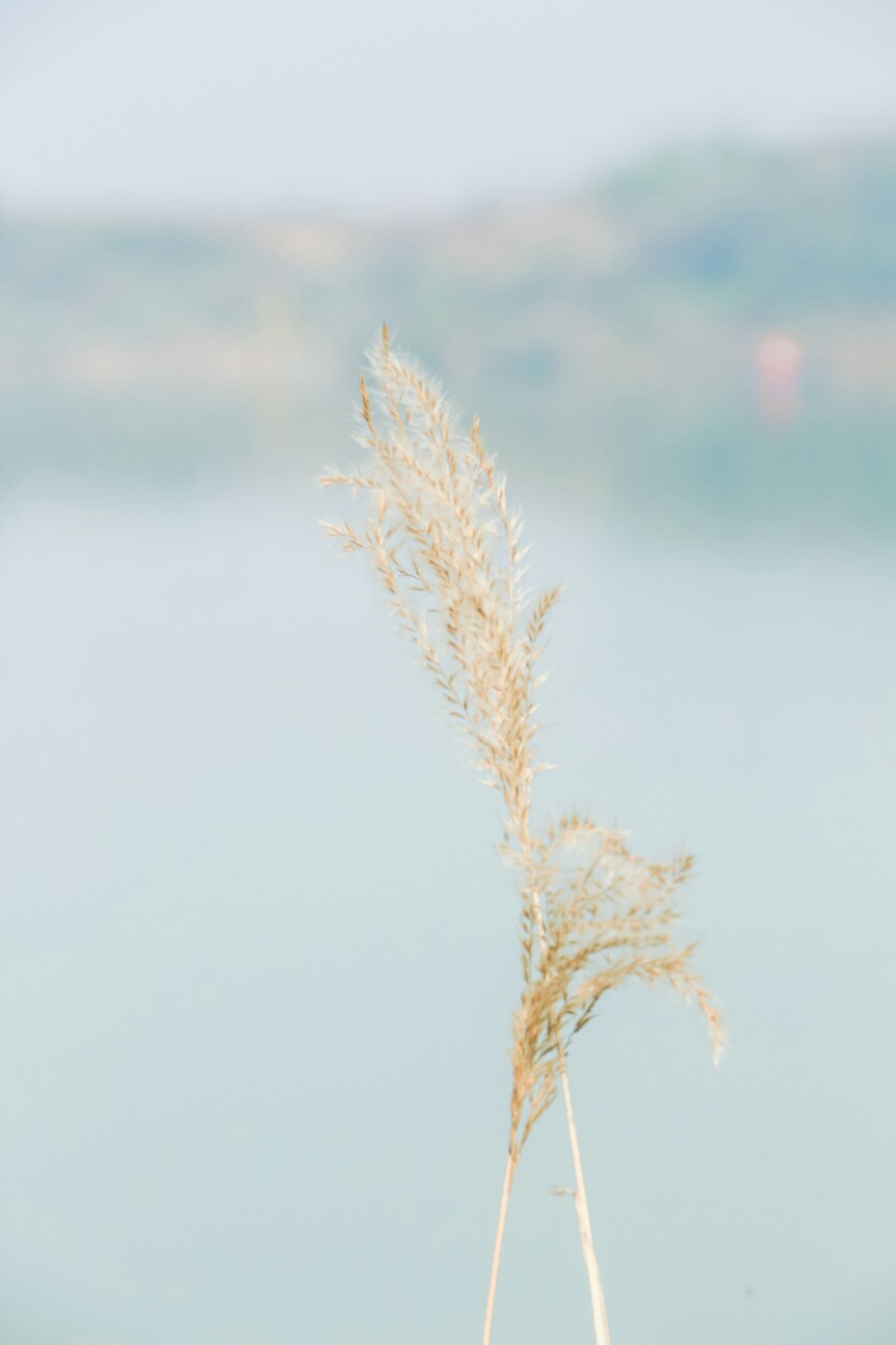 薄荷绿的冬天