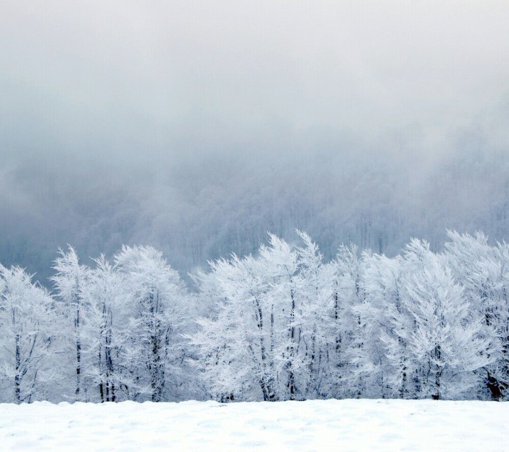 雪