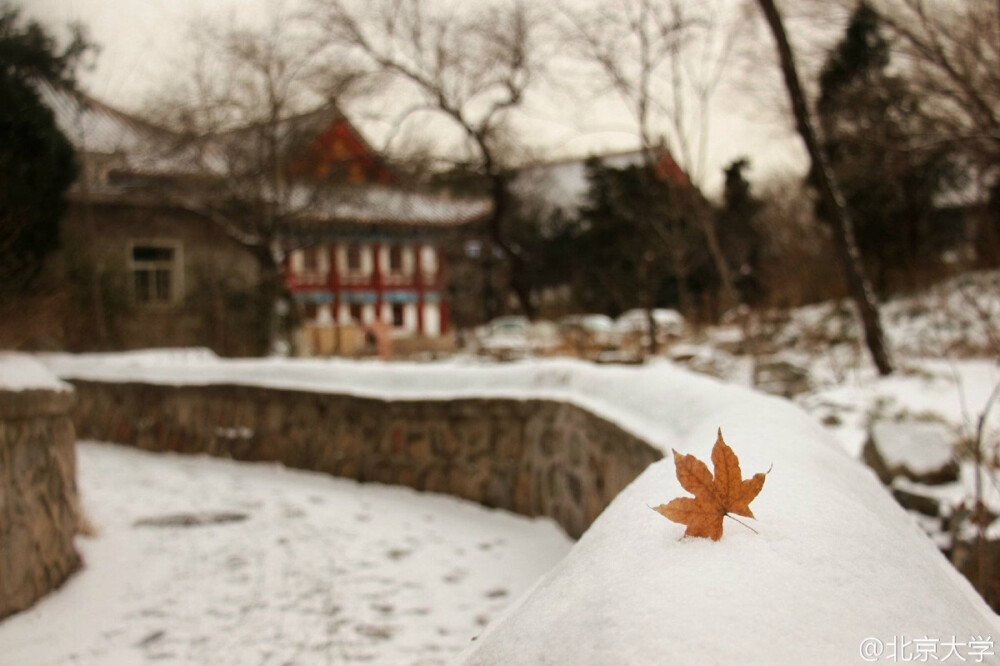 你是我心之所向——北京大学