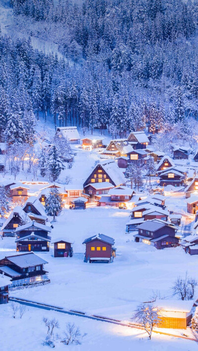 冬日 雪 房屋