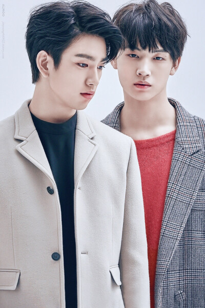 JJP！