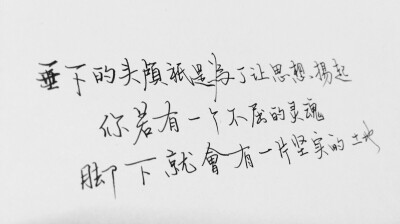 垂下的头颅只是为了让思想扬起，你若有一个不屈的灵魂脚下就会有一片坚实的土地。——汪国真