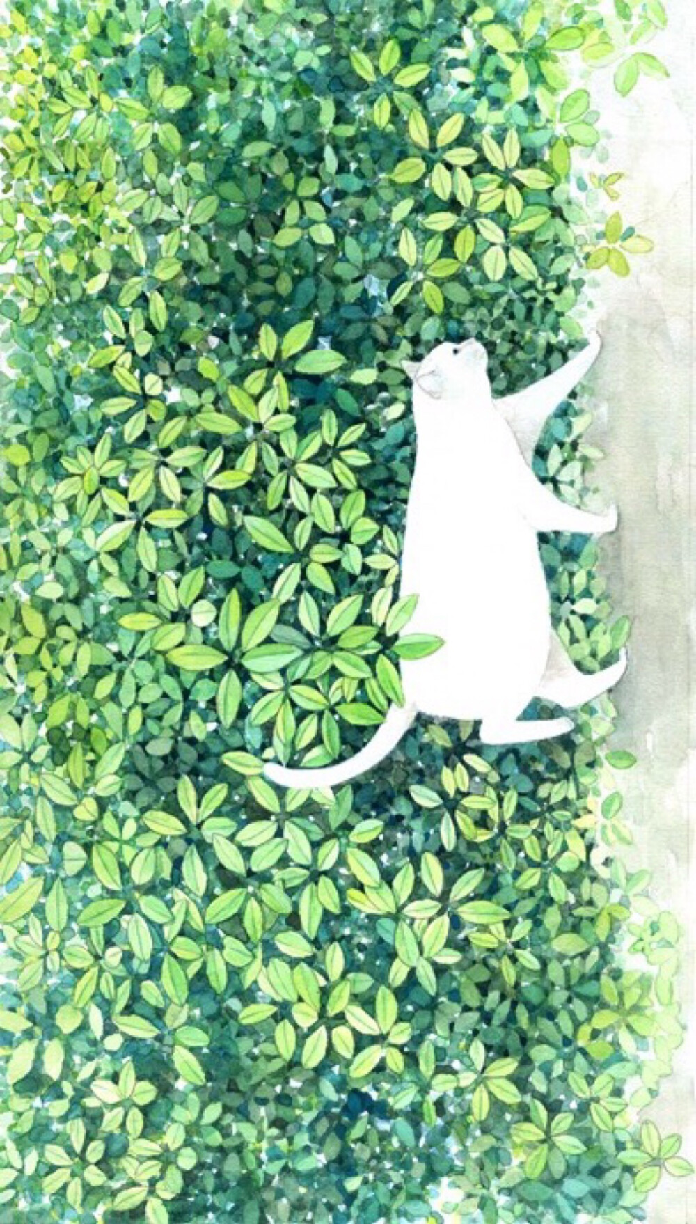 日本插画师山田绿Midori Yamada作品