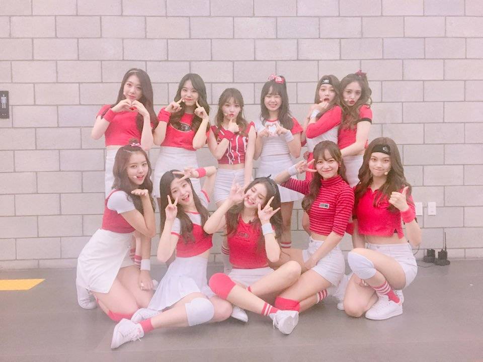 ioi produce101林娜荣、金请夏、金世正、郑彩妍、周洁琼、金素慧、俞琏静、磪有情、康美娜、金度延、全昭弥