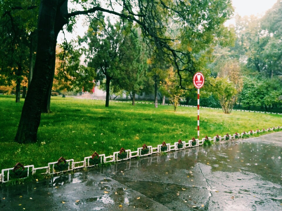 雨。