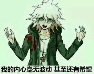 弹丸论破表情仓