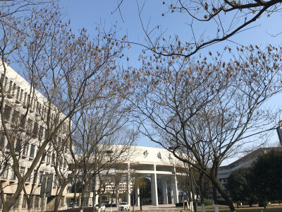 学校