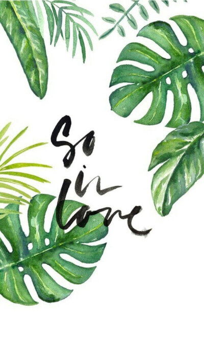 【by：沈霖】绿色 叶子 夏天 壁纸