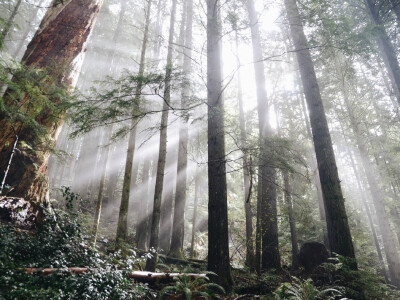 朋友圈 空间 背景图
