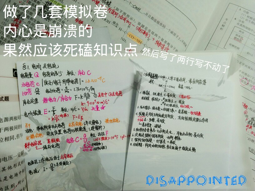 写了两张生物86 82一张不如一张。。
一张地理81比期末还差。。。
化学选择题错了一张3个，一张错4个。。。
物理最后一题全错。。。
学个球。。。明天继续努力。。。结果堂弟拉我出去玩。。。（他金中高二和我一样选史政）他过4A轻轻松松。。。我不行啊。。。
继续熬夜。。。
距高考508天
距小高考51天