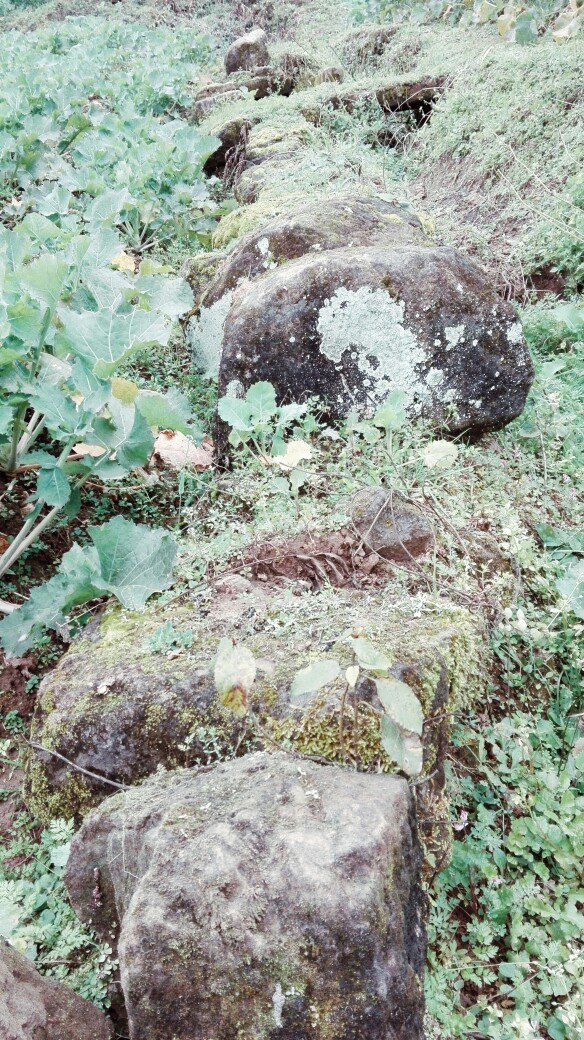 青石山路