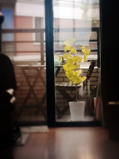 2016秋