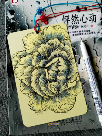 《植物类》