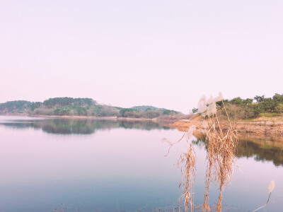 乡景水景