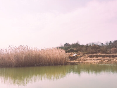 乡景水景