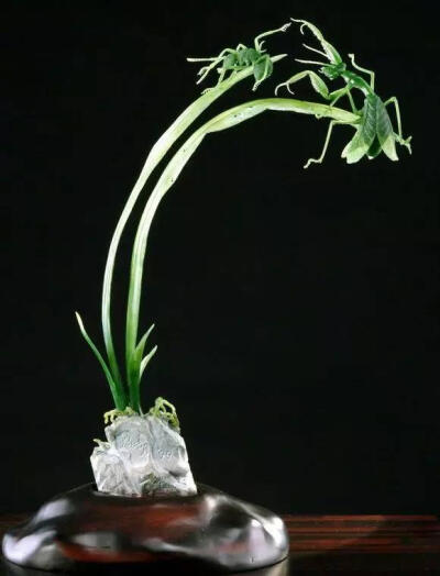 玉器雕刻