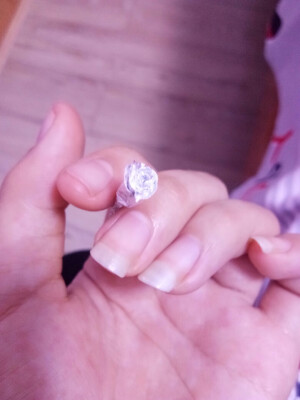 口香糖味的银玫瑰